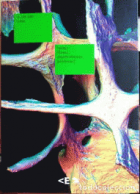 Imagen de cubierta local